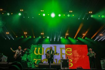 Wolfe Tones reveal interest in representing Ireland at Eurovision
